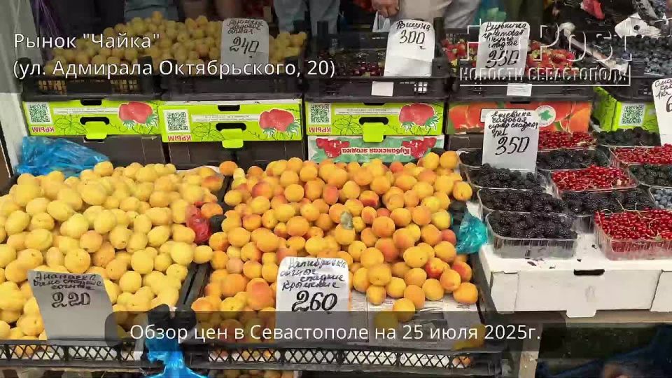 #��������. �����������-��������� ����� ��� �� ������ �����������