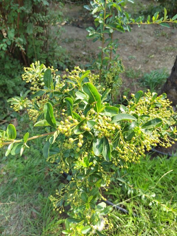 #��� �� ��������?. ��� ����������� �������������� � ���������� �������� � ���������� ������ ��������, ������� �������� ����������� ������� ������, �������� �������� � �������� ����