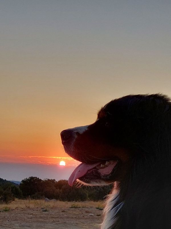 #�����������������. ������ ����� � ���� ���������