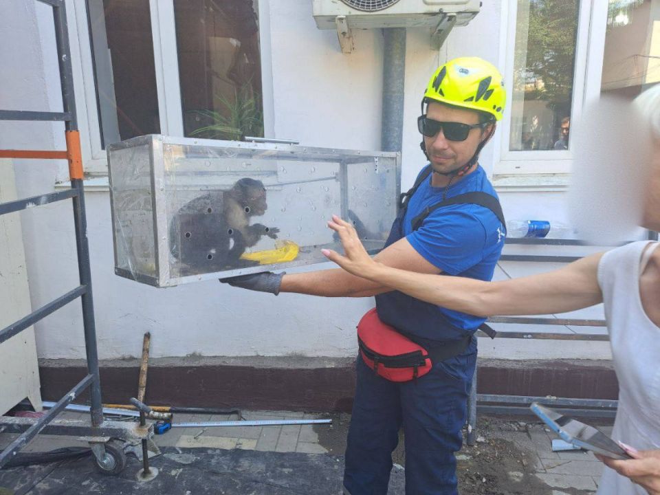 � ��������� ��� ��� ������ ��������� �� �������� �������� ������