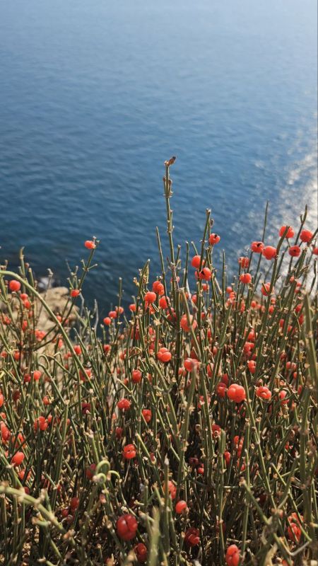 ������ �� ������, � �� ����� ��� �����: � ����� ������� ��������� �����