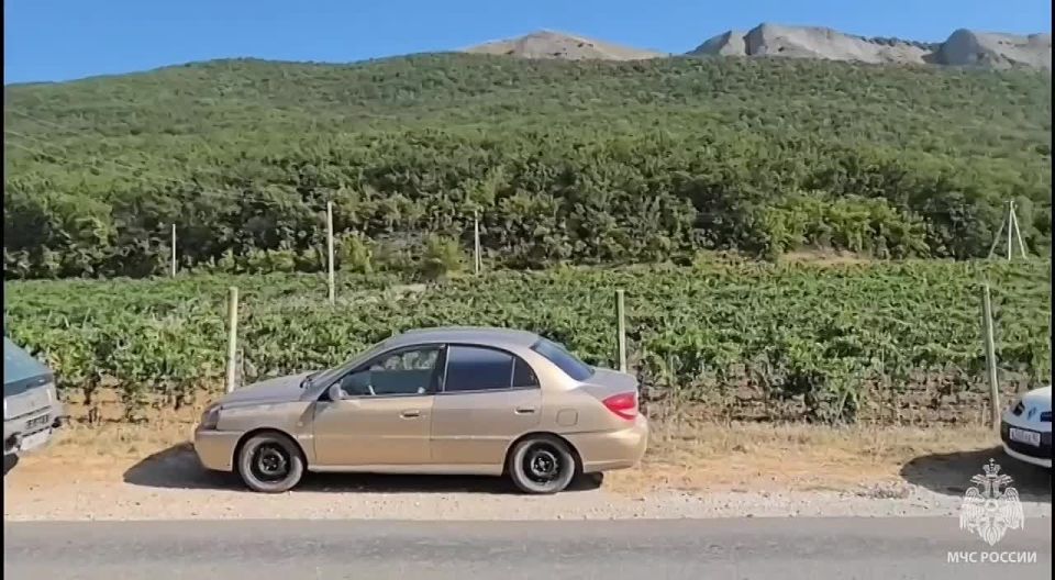 ��� �� ����� ����������� ����� �� 5 �� � ����� � ����� ���������������� �� ��������������� ���������