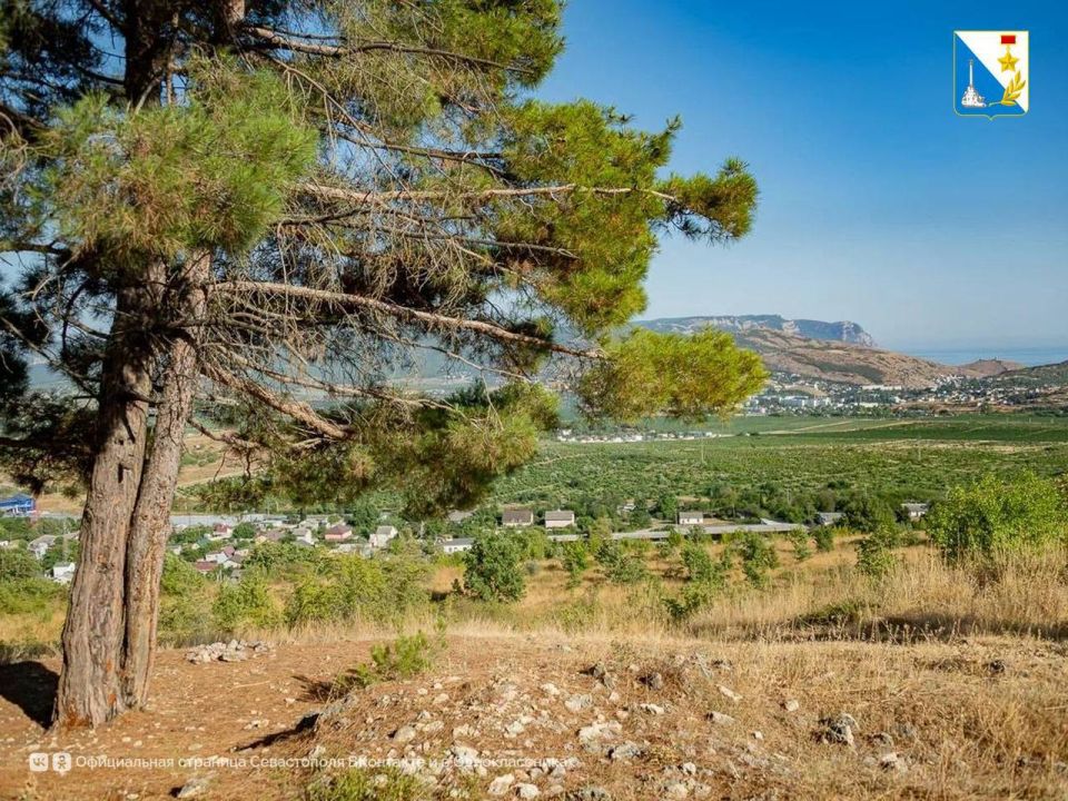 ���������� ����������� ��������� � ����� ������