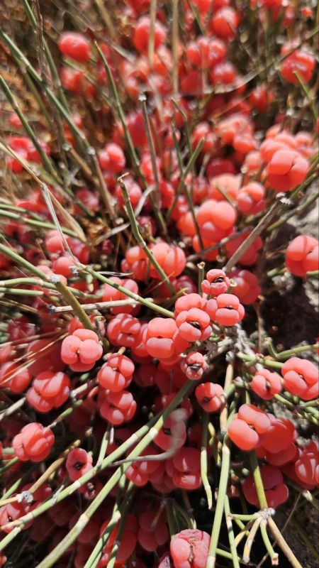 ������ �� ������, � �� ����� ��� �����: � ����� ������� ��������� �����