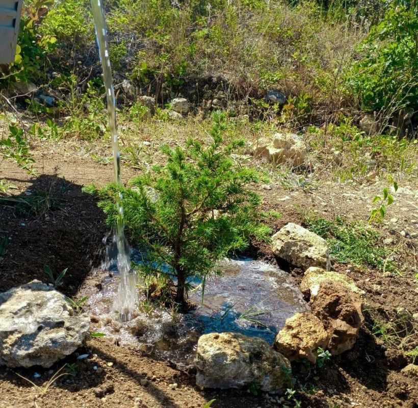 � ��������������� ����������� ������� ������� ����������������� ������