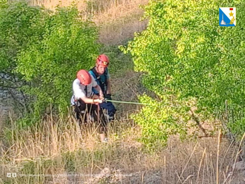 ��������� ����������� ������������ ���� ��������, ������������� � ������������ �������