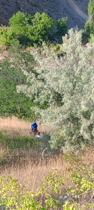 �������� ���� �������� ������������ ��������