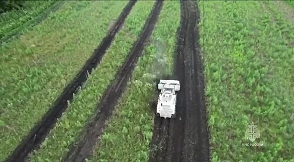 ����� 1 600 ������������� ��������� ����������� � ������� ������� �� ������