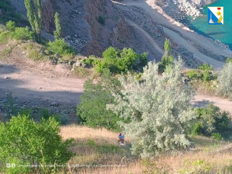 ��������� ����������� ������������ ���� ��������, ������������� � ������������ �������