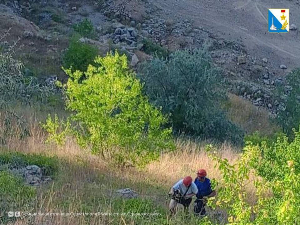 ��� ������� �������� �� ����������� ������� � �����������, ������ �� ��������� �������