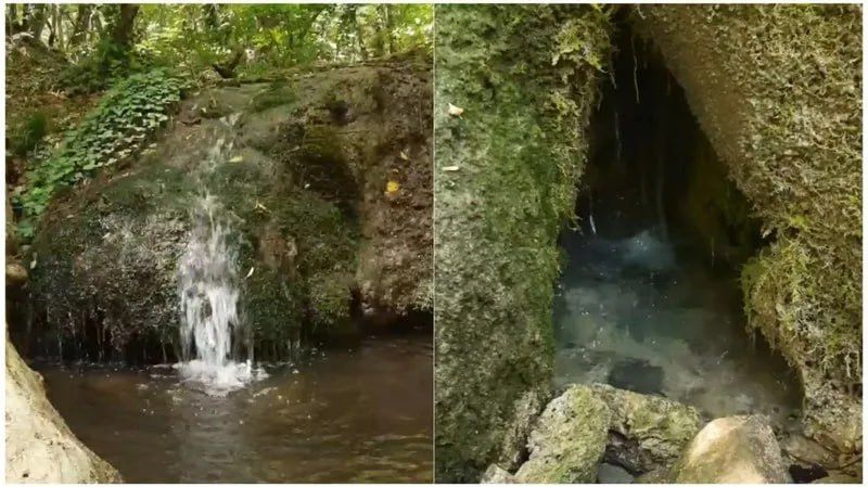 Надоело море?. Уникальное урочище Водяная балка расположено в трёх-четырёх километрах к северо-западу от Щебетовки, куда ходит рейсовый транспорт из Судака и Феодосии