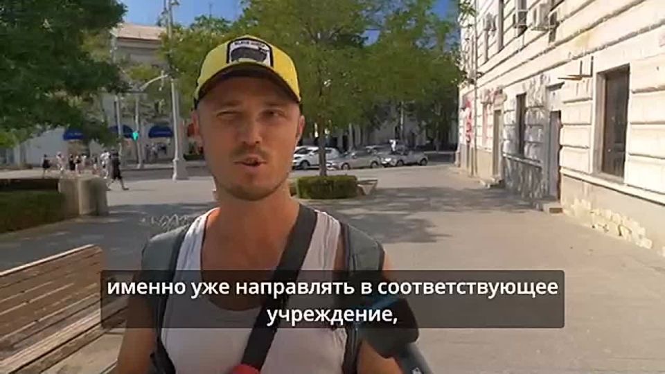 Что, если в Севастополе запретят кормить бродячих собак и кошек?