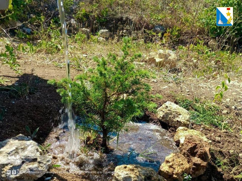 Следим за лесом. В Терновском участковом лесничестве инспекторы убрали мусор, накопившийся на обочинах Следим за лесом. В Терновском участковом лесничестве инспекторы убрали мусор, накопившийся на обочинах