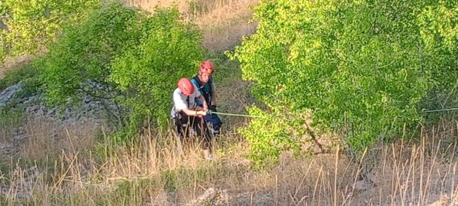 ��������� ����������� ������������ ���� ��� � ����� � ������������ �������