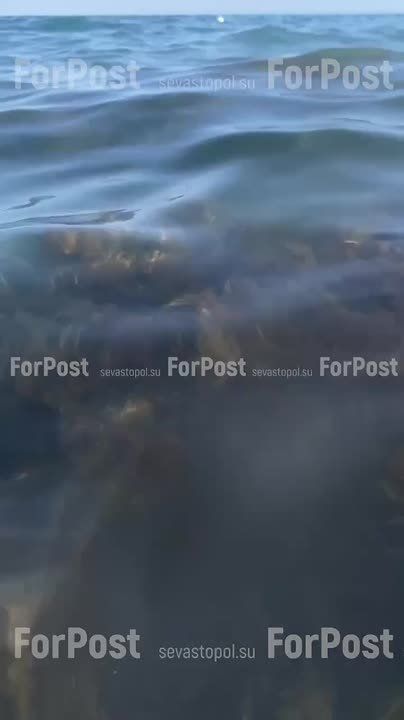 ��������� �� �������� ���� ��� �����