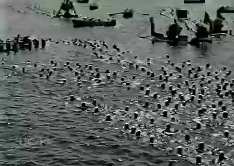 Юлия Витязева: День ВМФ, Севастополь, 1954 год