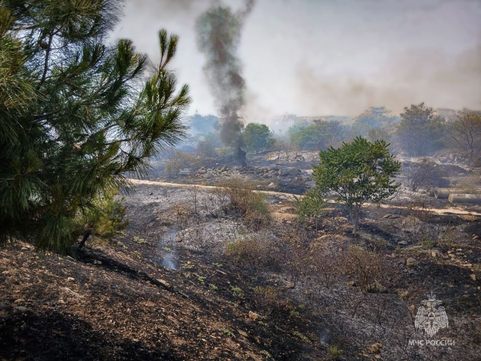 ����� � ������ ����� �������� �����������