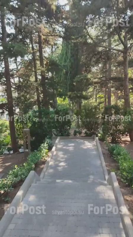 ��� ������ �������� ���� ����: ��� ����� � �����