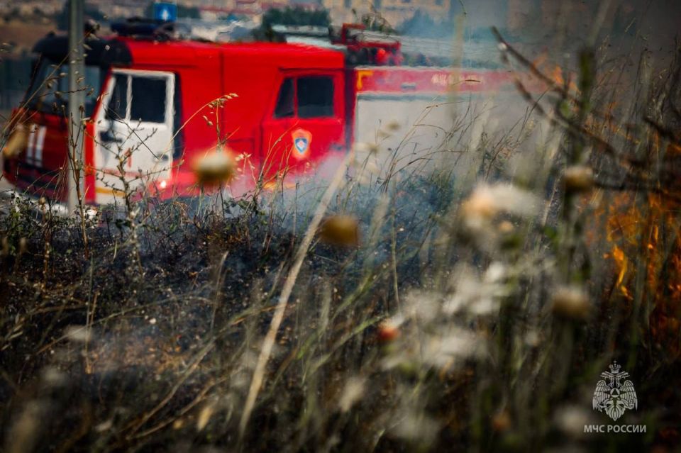 ������� �������������� ����� � ������ ��. �������� � ��� �����������