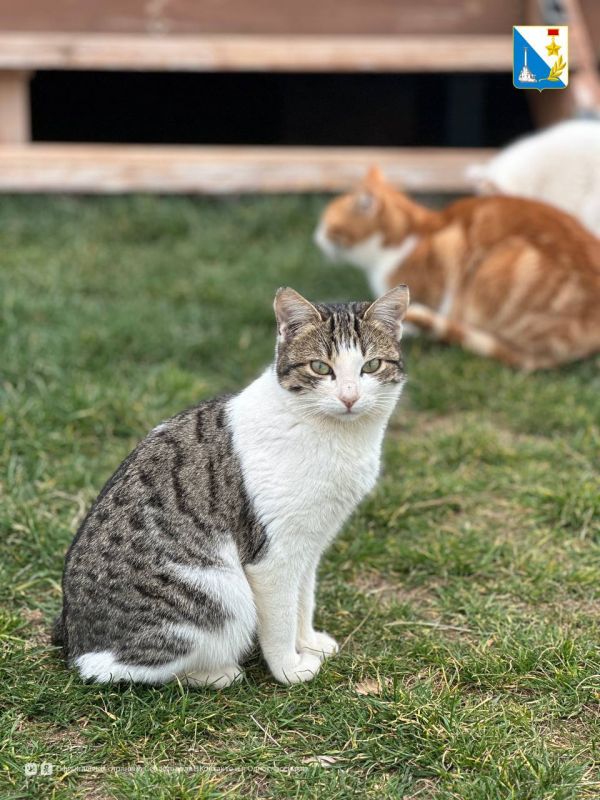 Продолжаем еженедельную вакцинацию