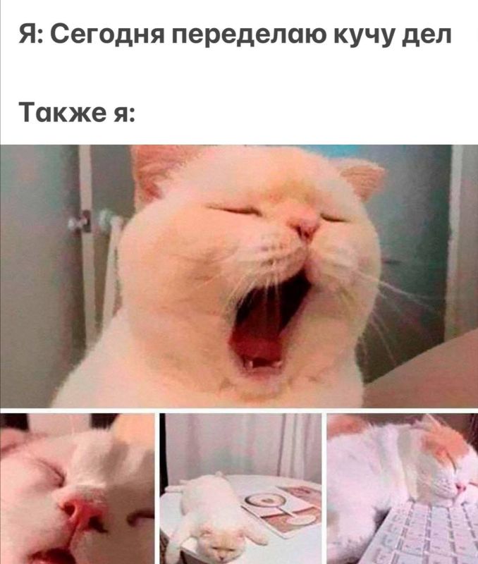 Прогноз магнитных бурь на неделю: 28 июля – 3 августа