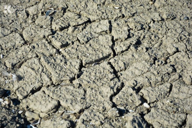 В Крыму из-за сильной засухи перестало наполняться Чернореченское водохранилище