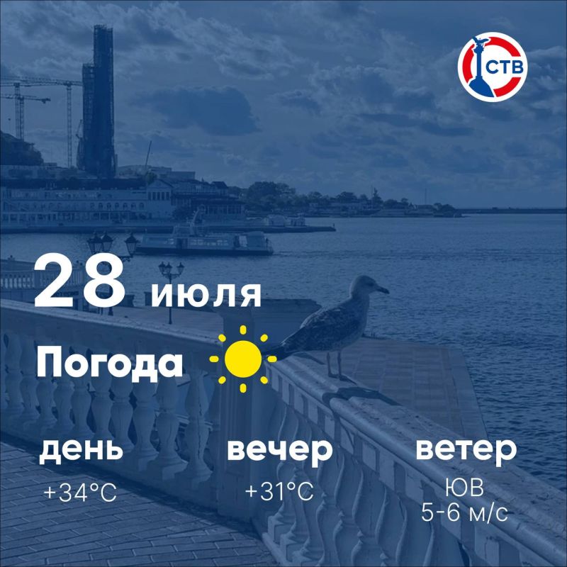 ������ ����, �������������! ����������� ���� � ���� ������� +24�C