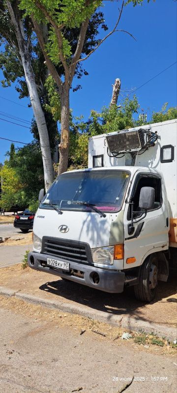 #���_�����. ������� ����������, ���� ��� ����� ����������, ����� ���������� ��� ����������? ������ ����� ����� ����� ������ � ���� ���������� ������, ���� �� ������� ���� ����������� �������