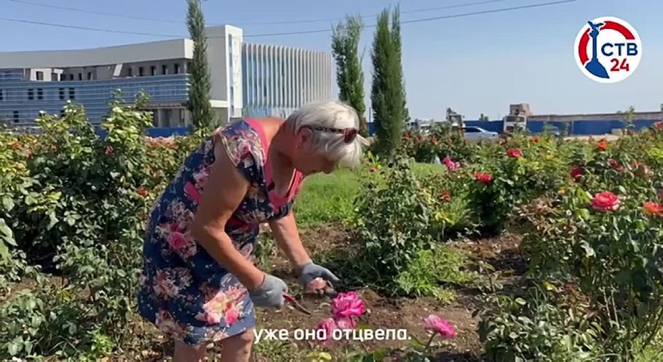 ��������� ������ ����������� ������� � �����