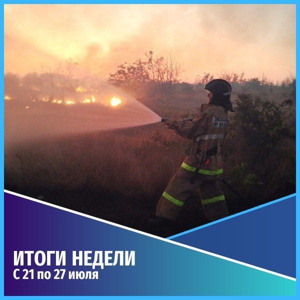 Общественная безопасность. События недели с 21 по 27 июля