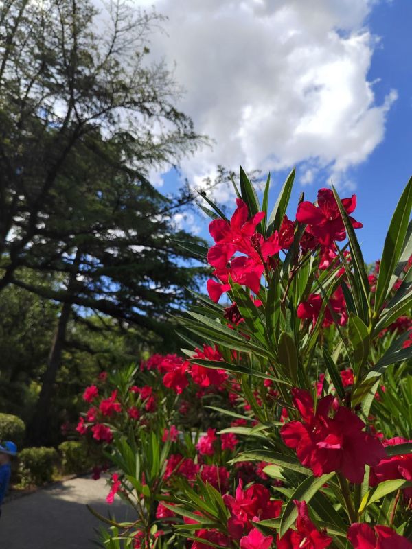 ���� ����� � ��������� ����������!