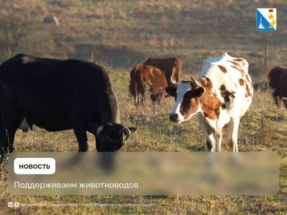 ������� �� �������������� ������������ ��������� � �����������