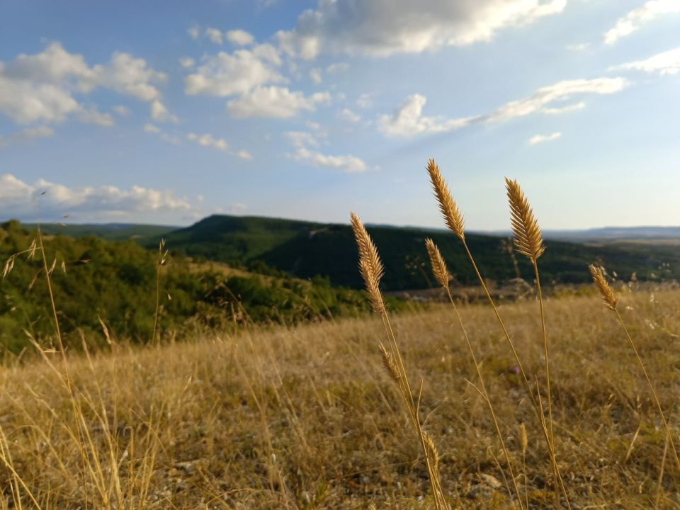 ������� ������ � ����� �� 29 ����