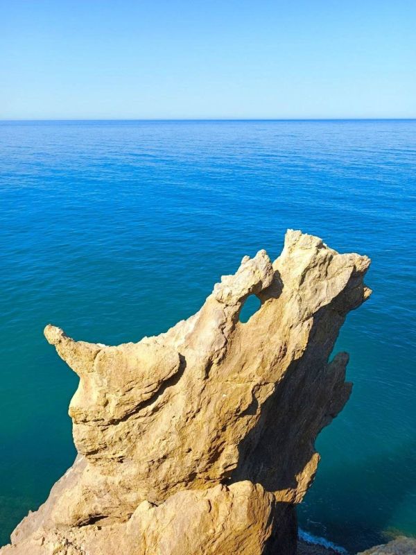 ���������� ��������������� ����������� ������������� ��� �������� � ���������� ���������� � ������ ������ ��������� ������������� ��������� ��������������� ����������� ��� ������ ������