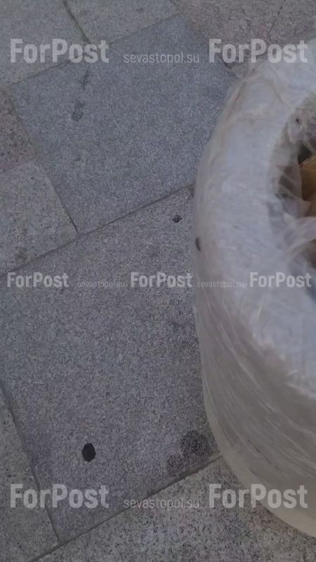 #Нам_пишут. Тумбы для фонарей на набережной Приморского бульвара закономерно превратили в урны, набитые мусором