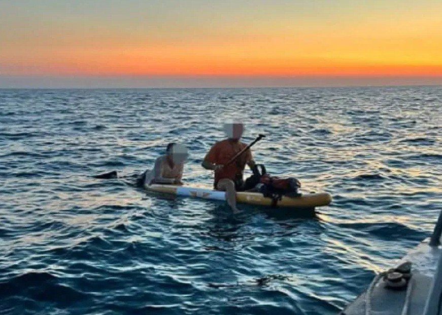 � ����������� ������ � ���� ���� ������ �� ��������