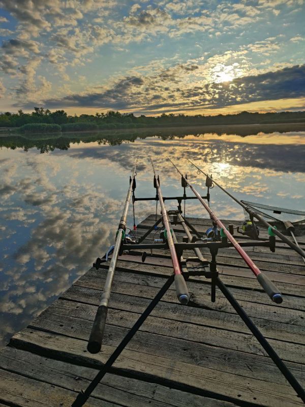 #�����������������. ����: ������� ��������� �� ���-������������