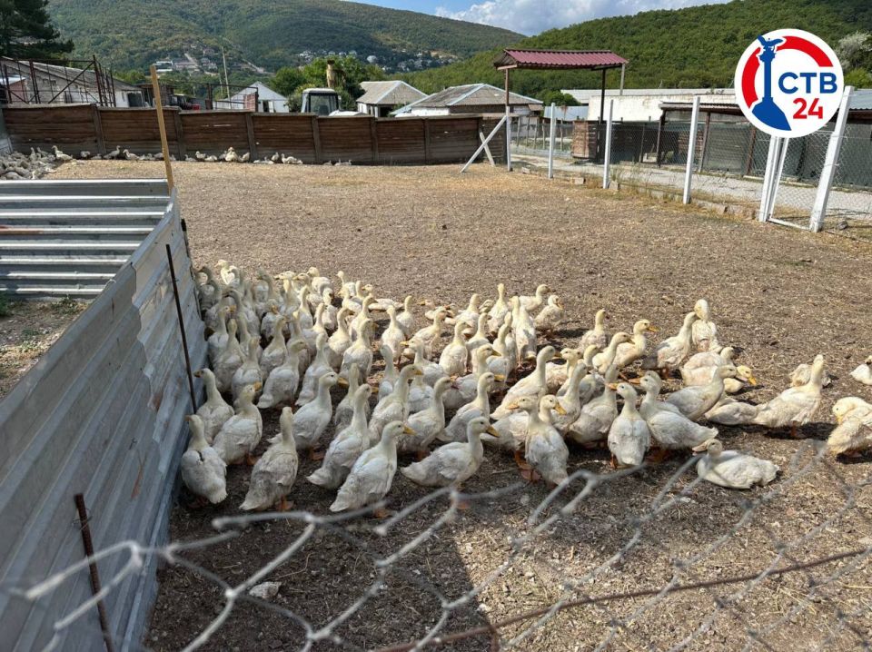 ��������� ������������ � ������� ����� 5 ��������� ������ � ����������� ����������� ������ �����