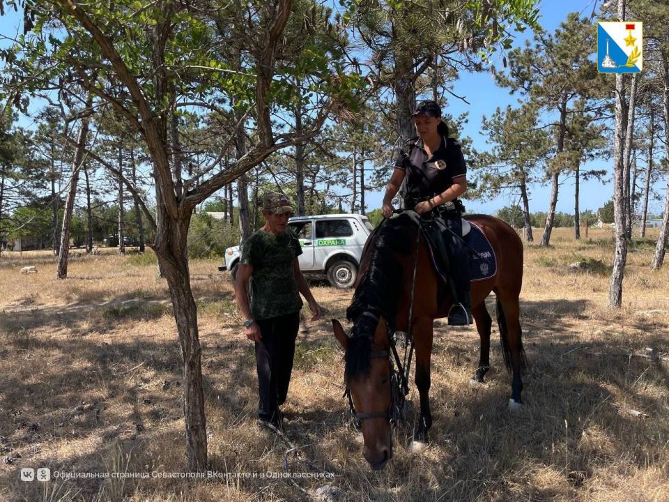 ������� ��������������� ����