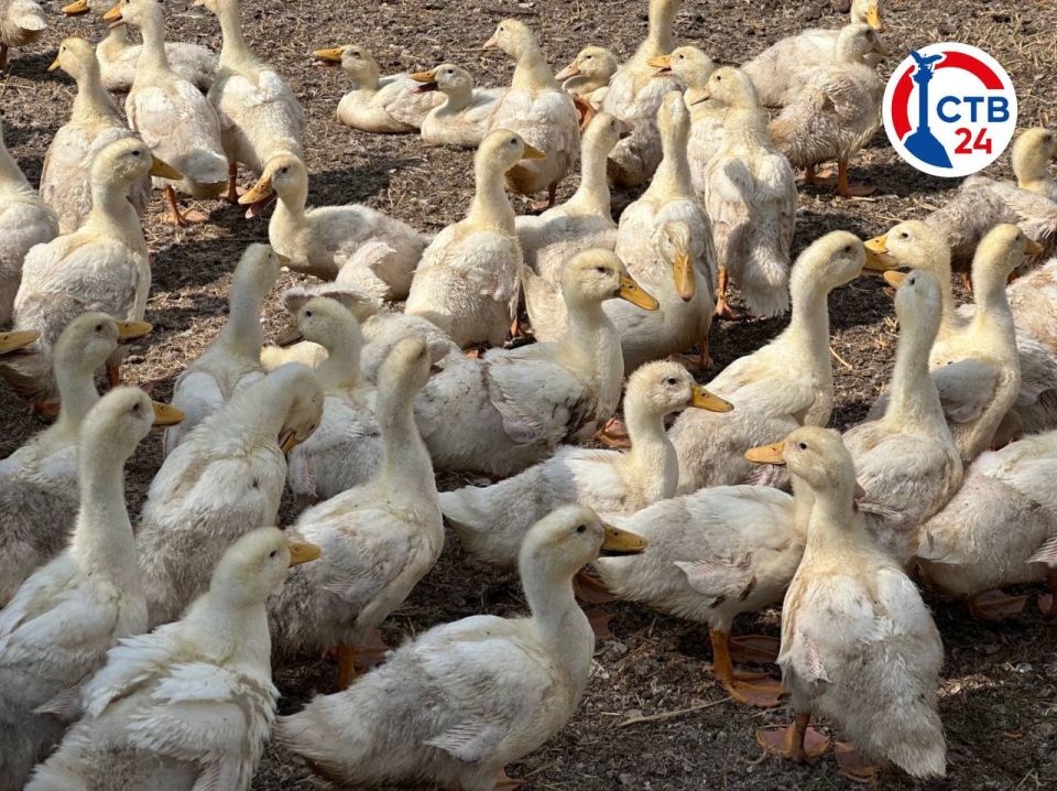 ��������� ������������ � ������� ����� 5 ��������� ������ � ����������� ����������� ������ �����