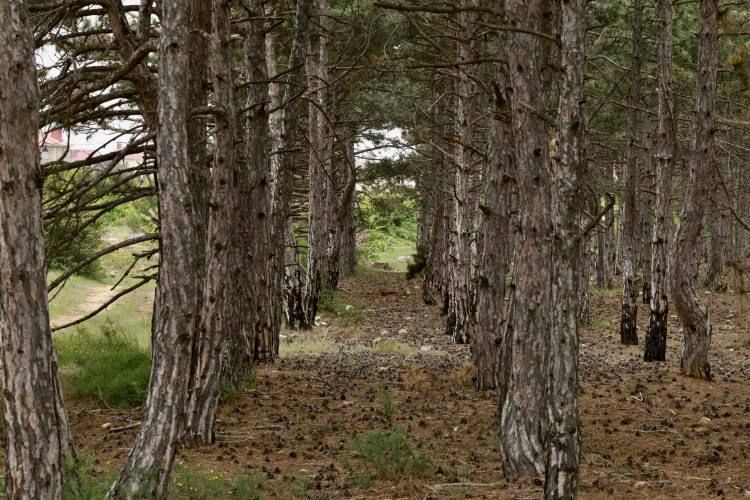 ����������� �� ��������� ����� �������� � ��� ����� ����������� ������� �� 20 �������