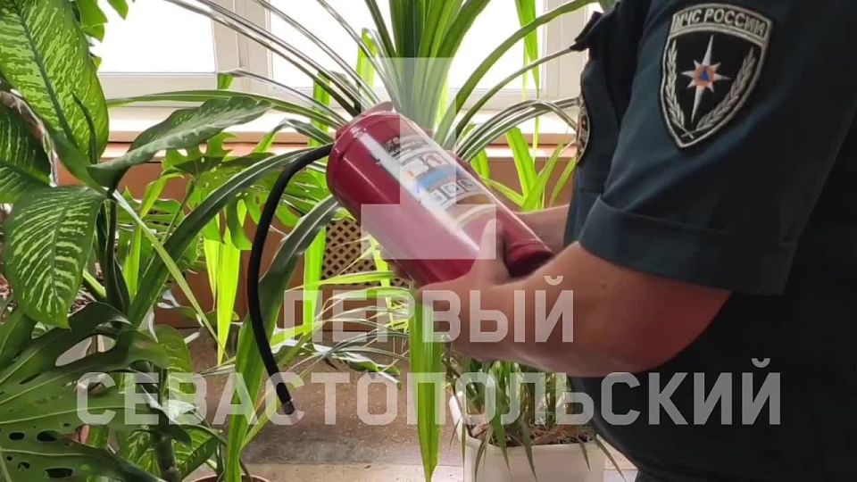 Готовность гимназии №7 к учебному году проверяют в Севастополе