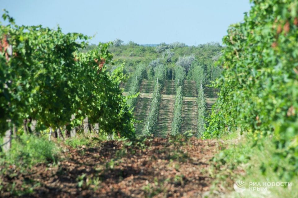 � ����� ������ ����� �������� ������������� ������