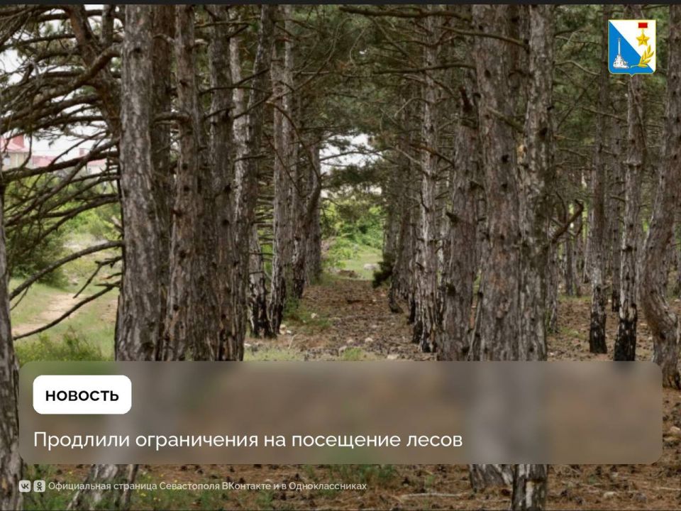 Ограничение посещения лесов продлено до 20 августа