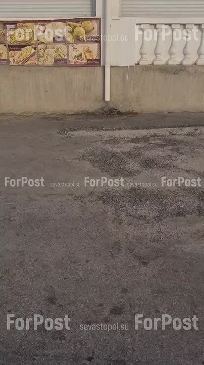 #���_�����. �� ���������� �������� ��������� ��������� ������ � ������: �������� ��� �������� ������ � �����������