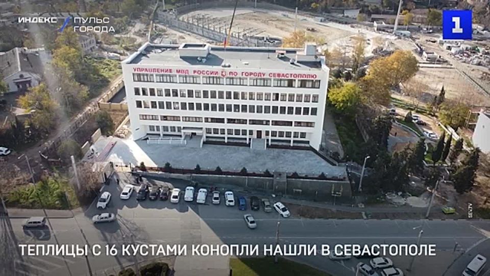 � ����������� ����������� ���������� �������������� � ��������