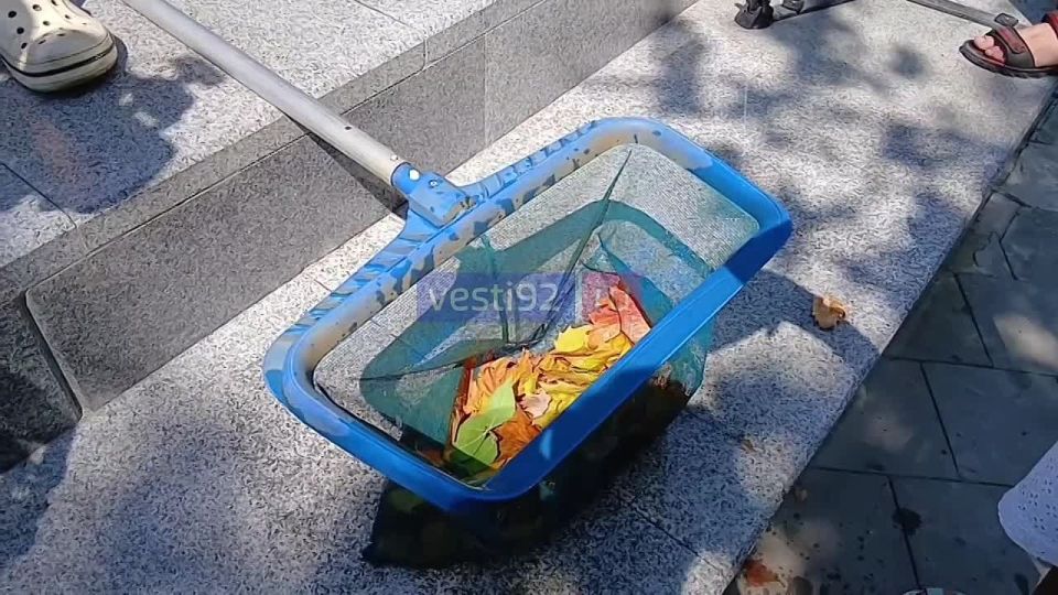 � ����� ����� ����� ����� ���������� ������������ ���������� ��������� ������ ������