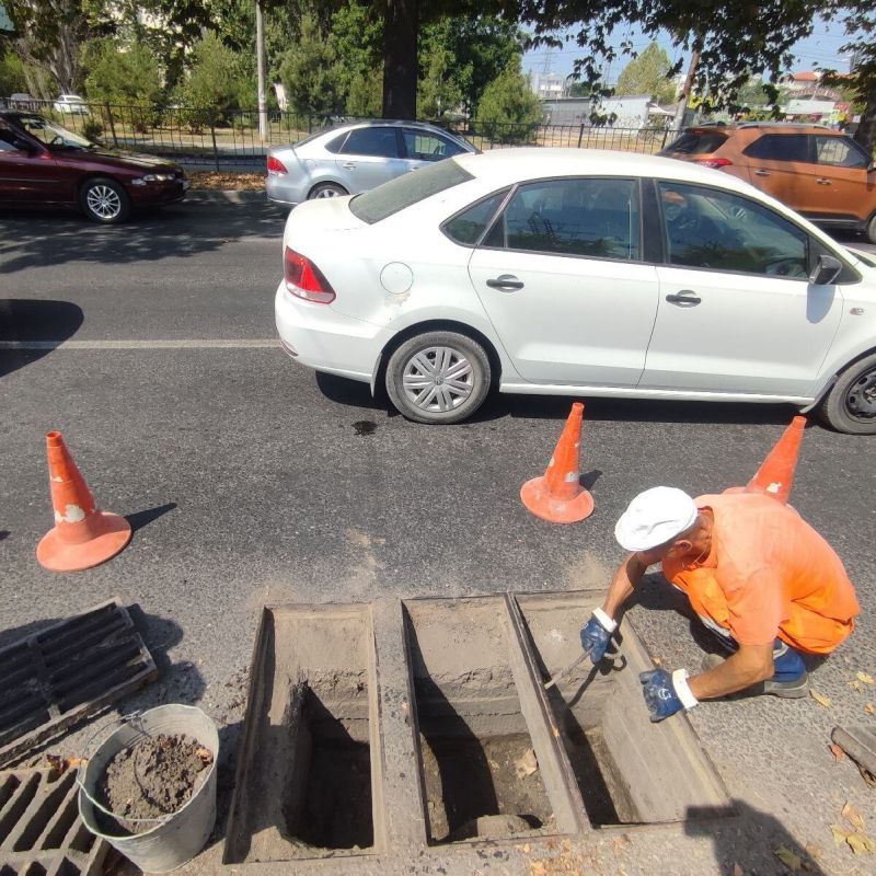 ���������: ������� �������. ������ ���� ���������� ��������