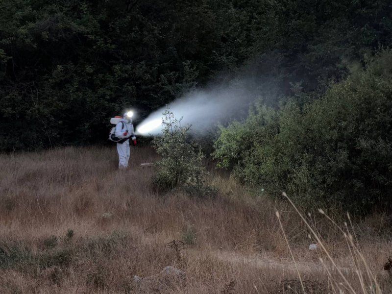 ������ ���� ����������� ���������� ������������ �� ����� ������������ �������