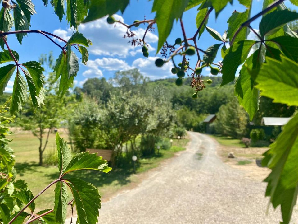 ������� ������ � ����� �� 31 ����